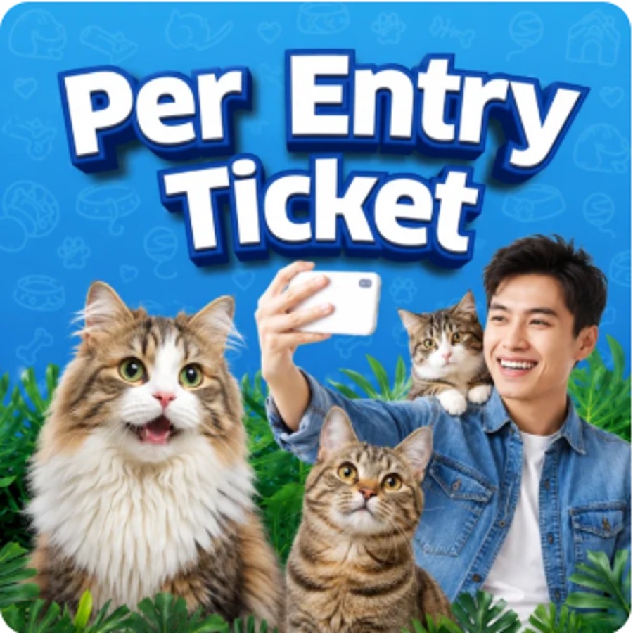 Just Cats – Adult