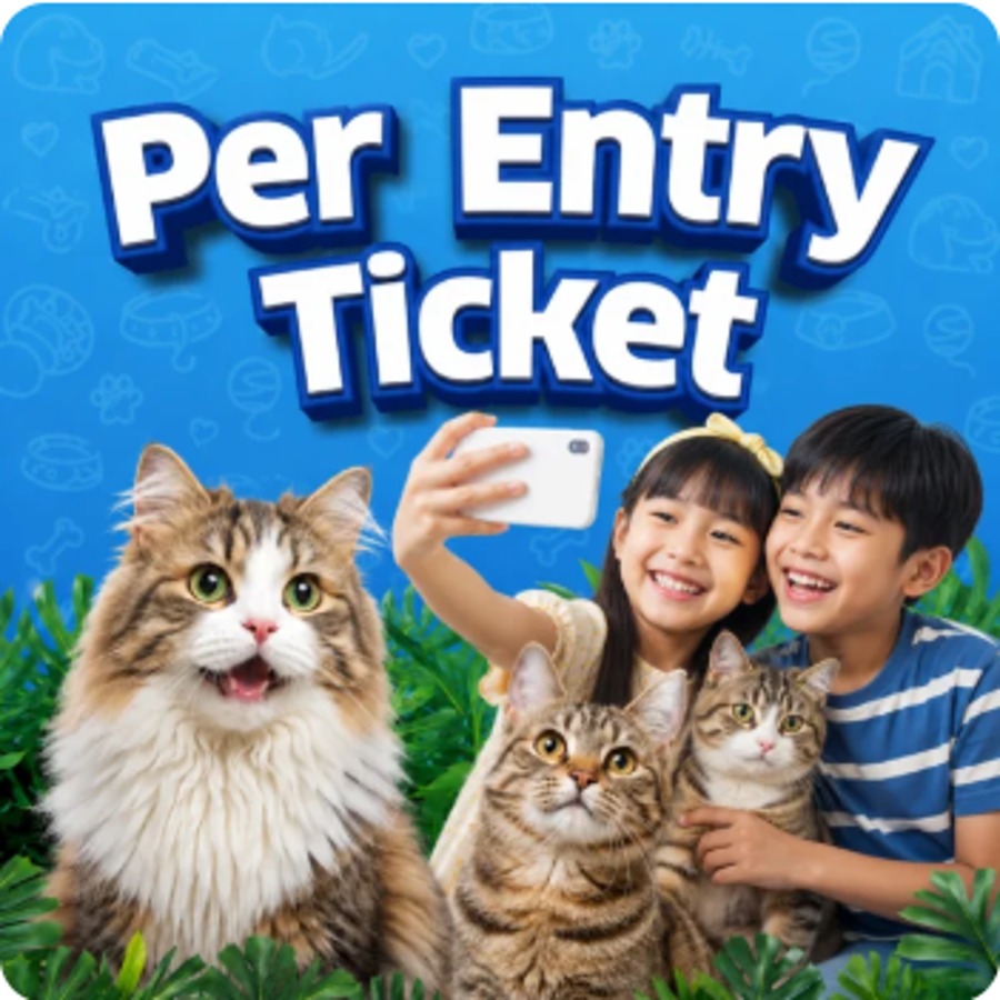 Just Cats – Children (2–12 years)