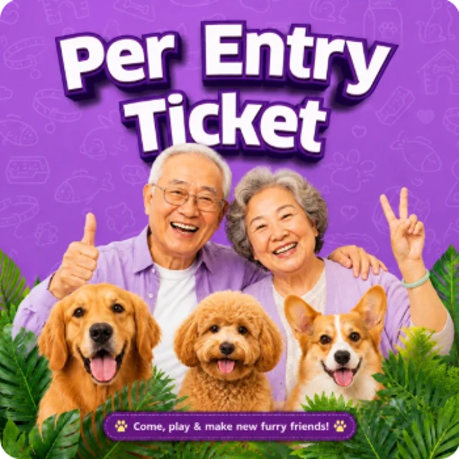 Just Dogs – Senior Citizen / OKU (60+)